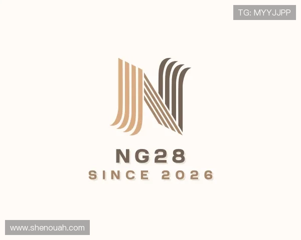 认识NG28